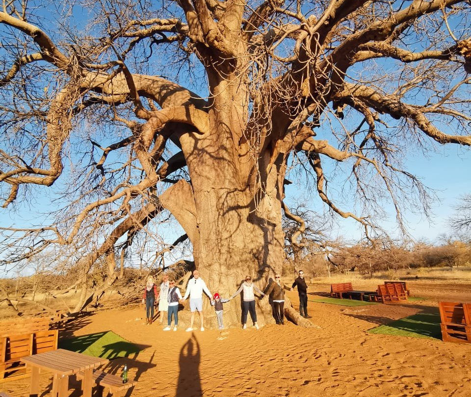 Buffalo Thorn Safari Lodge主图