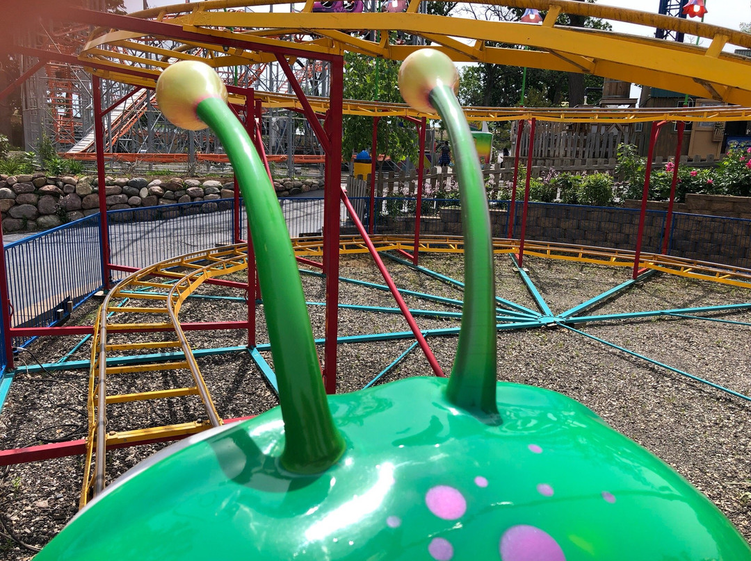 Santa's Village Amusement & Water Park-East Dundee必去景点