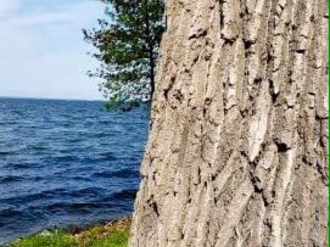 Manoir D'Youville主图