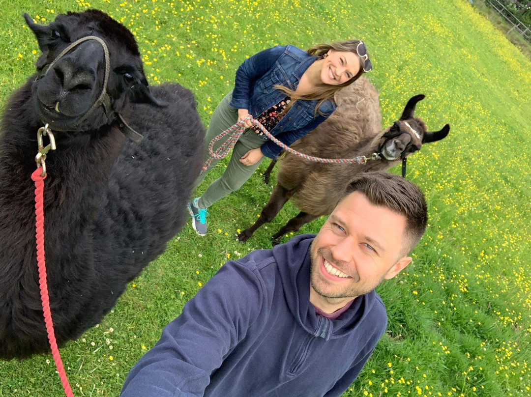 National Forest Llama Treks景点图片