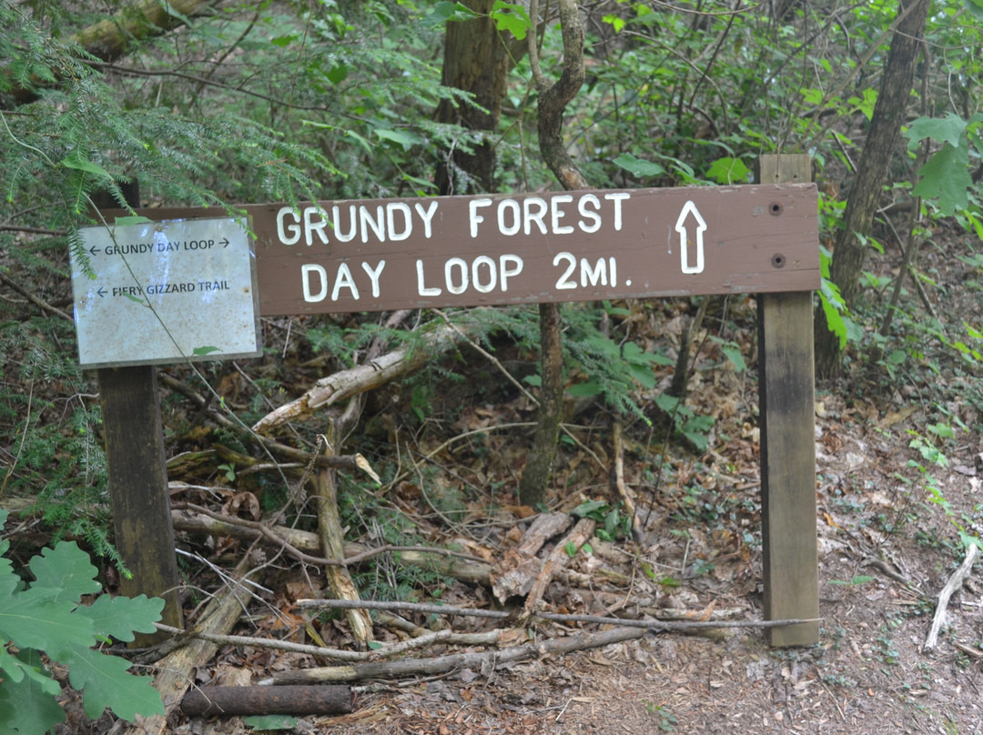 Grundy Forest Natural Area景点图片