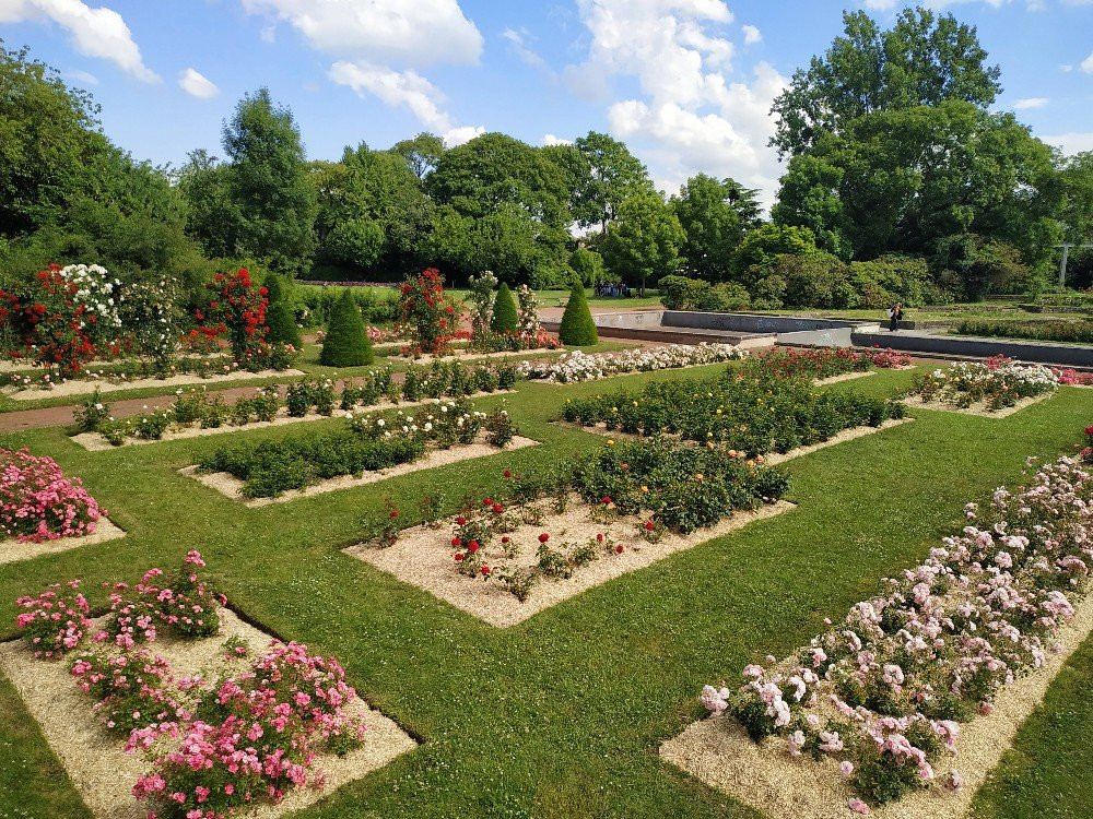 Jardin des Plantes景点图片