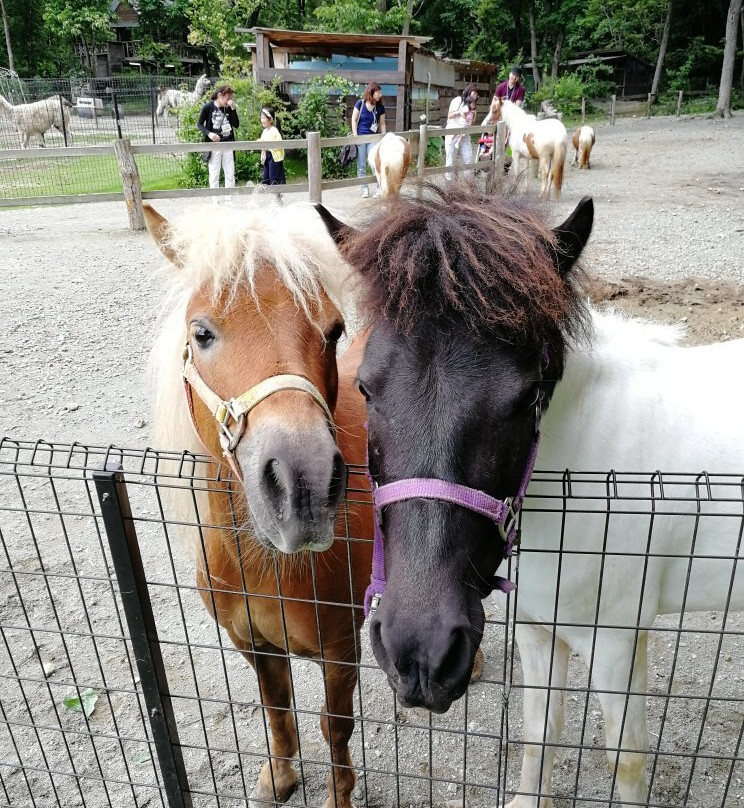 Very Belly Farm Nishiwaki-西胁市必去景点