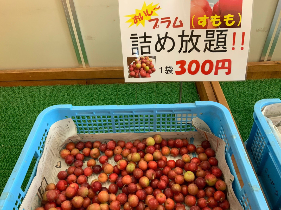 Michi-no-Eki Kamiamakusa Sun Pearl-上天草市必去景点