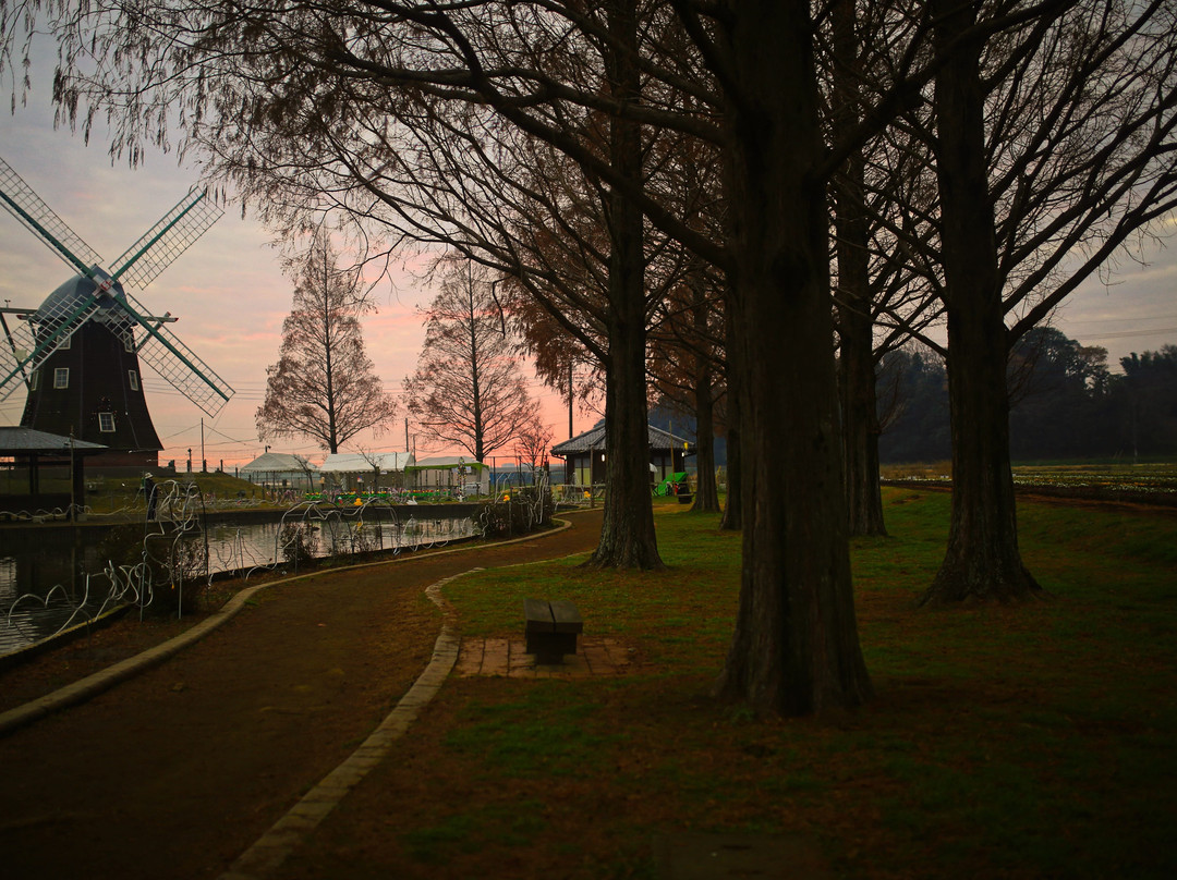 Akebonoyama Agricultural Park-柏市必去景点