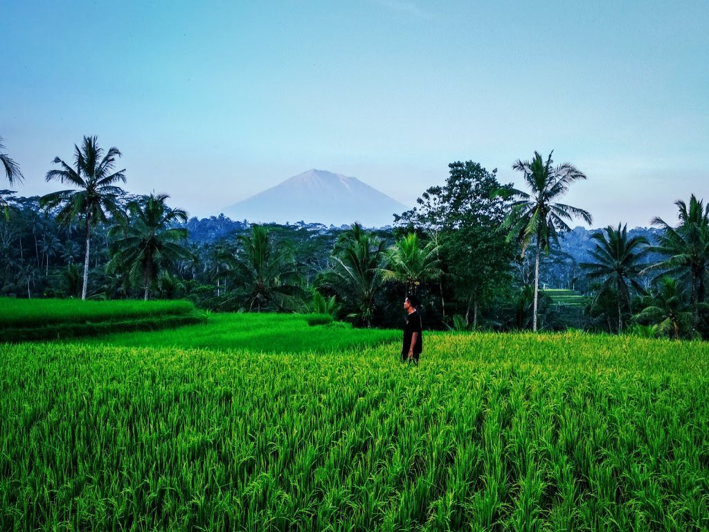 Subak Pulagan-坦帕克西林必去景点