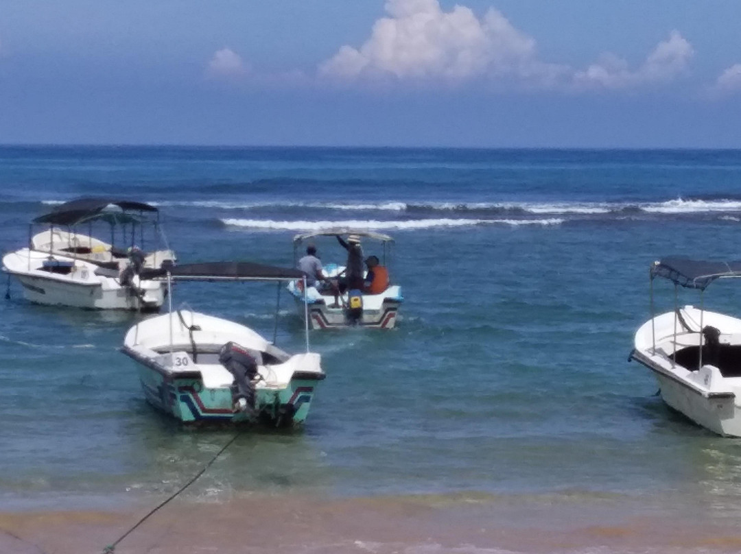 Leisure Lanka Tours景点图片