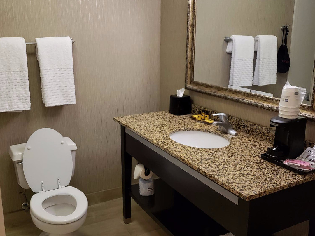 Best Western Plus Tallahassee North Hotel主图