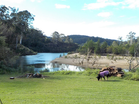 Kiah Wilderness Tours-Kiah必去景点