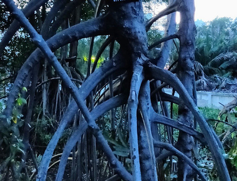 Phi Suea Samut Fort-帕沙姆佛塔必去景点