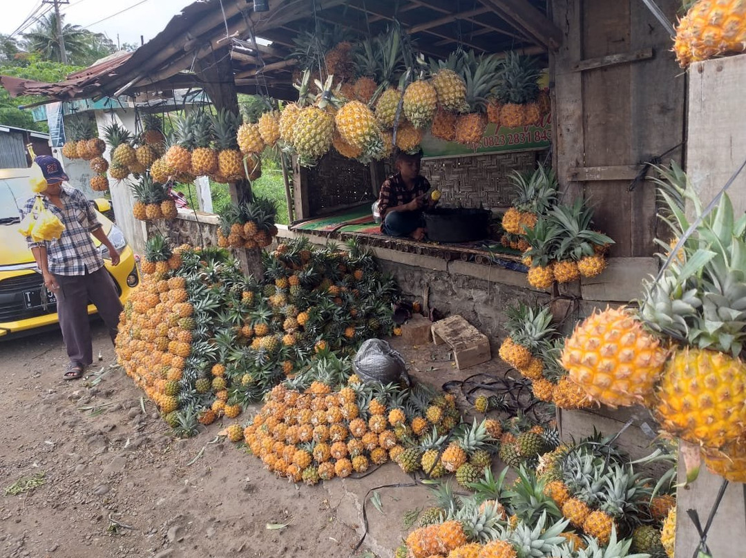 Nanas Madu Pemalang景点图片