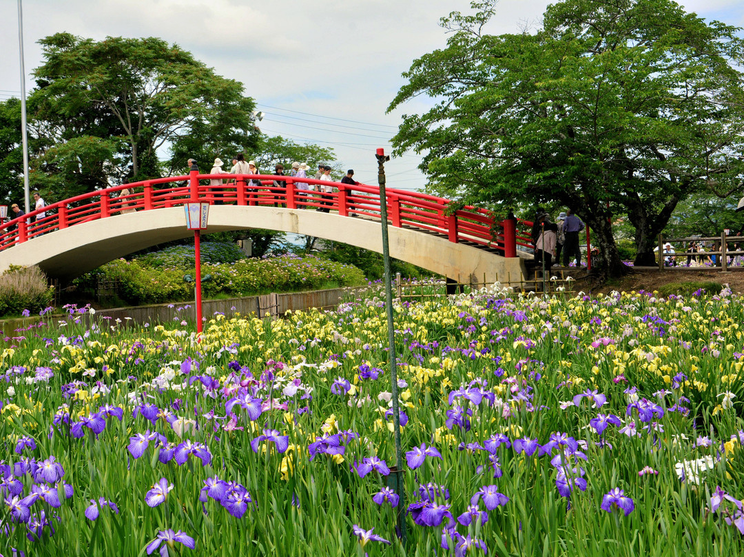 Kamo Shobuen-丰桥市必去景点