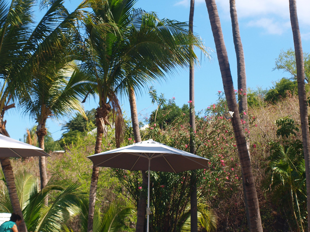 L' Hotel les Aigrettes主图