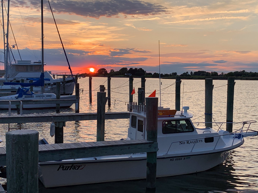 The Inn at Osprey Point主图