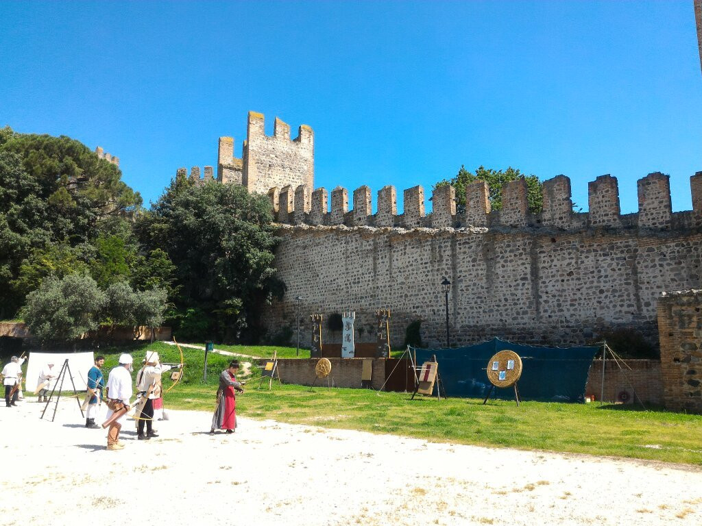 Castello Carrarese景点图片