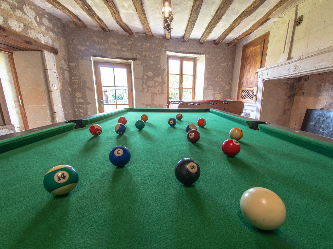 Gite Les Orchidees du Vaudelnay主图