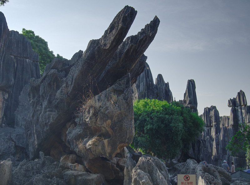 云南石林地质公园景点图片