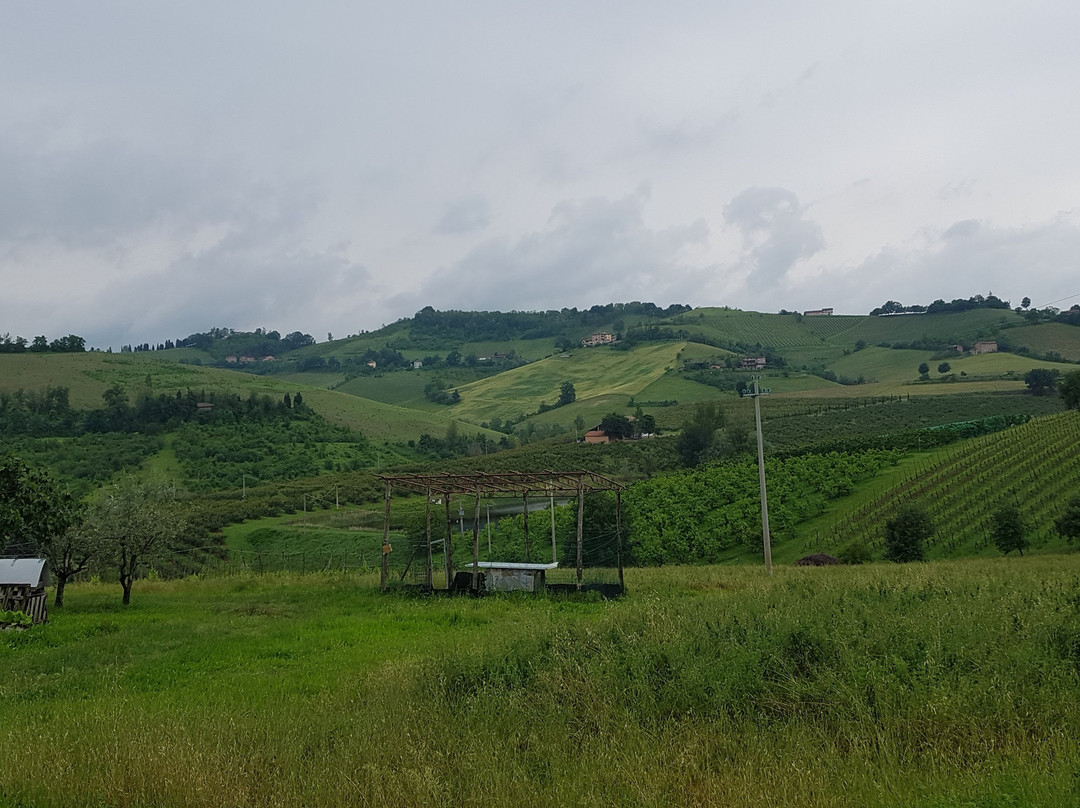 Azienda Agricola I Monticelli景点图片