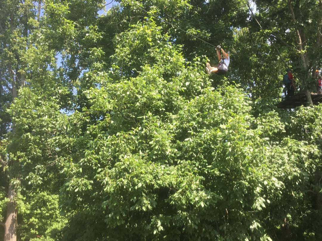 Asheville Zipline Canopy Adventures景点图片