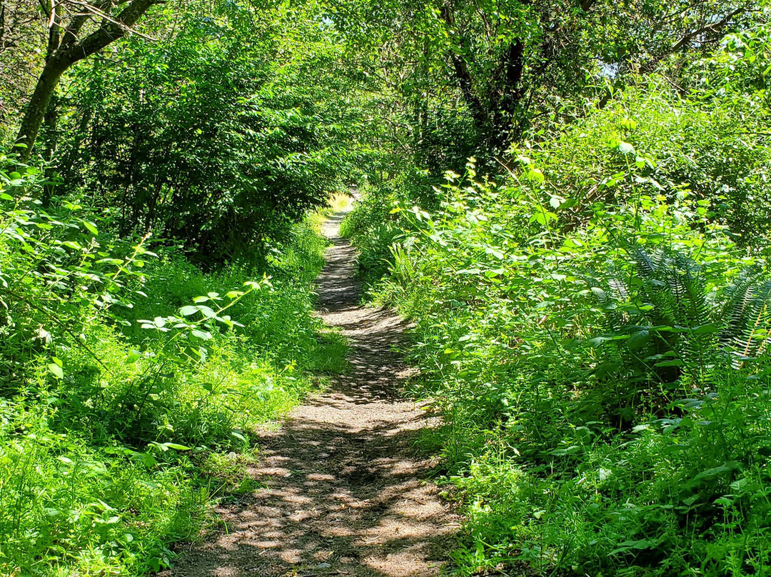 Maury Island Marine Park-Vashon必去景点