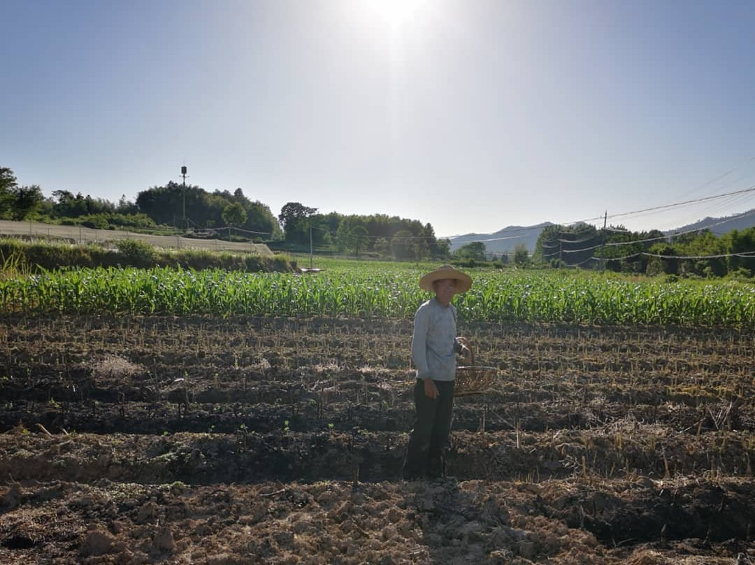 黄山唐模景区-黄山市必去景点