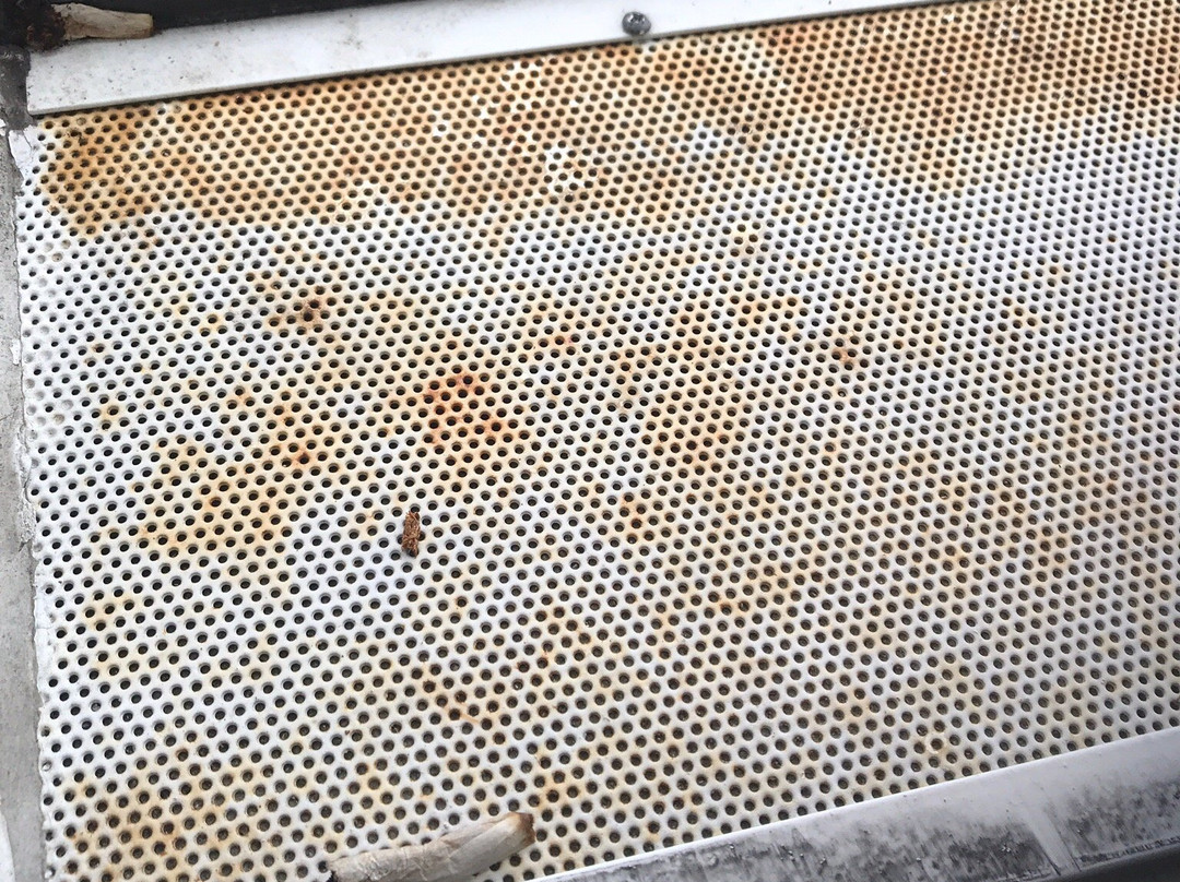 Mercure Bordeaux Merignac 2m主图