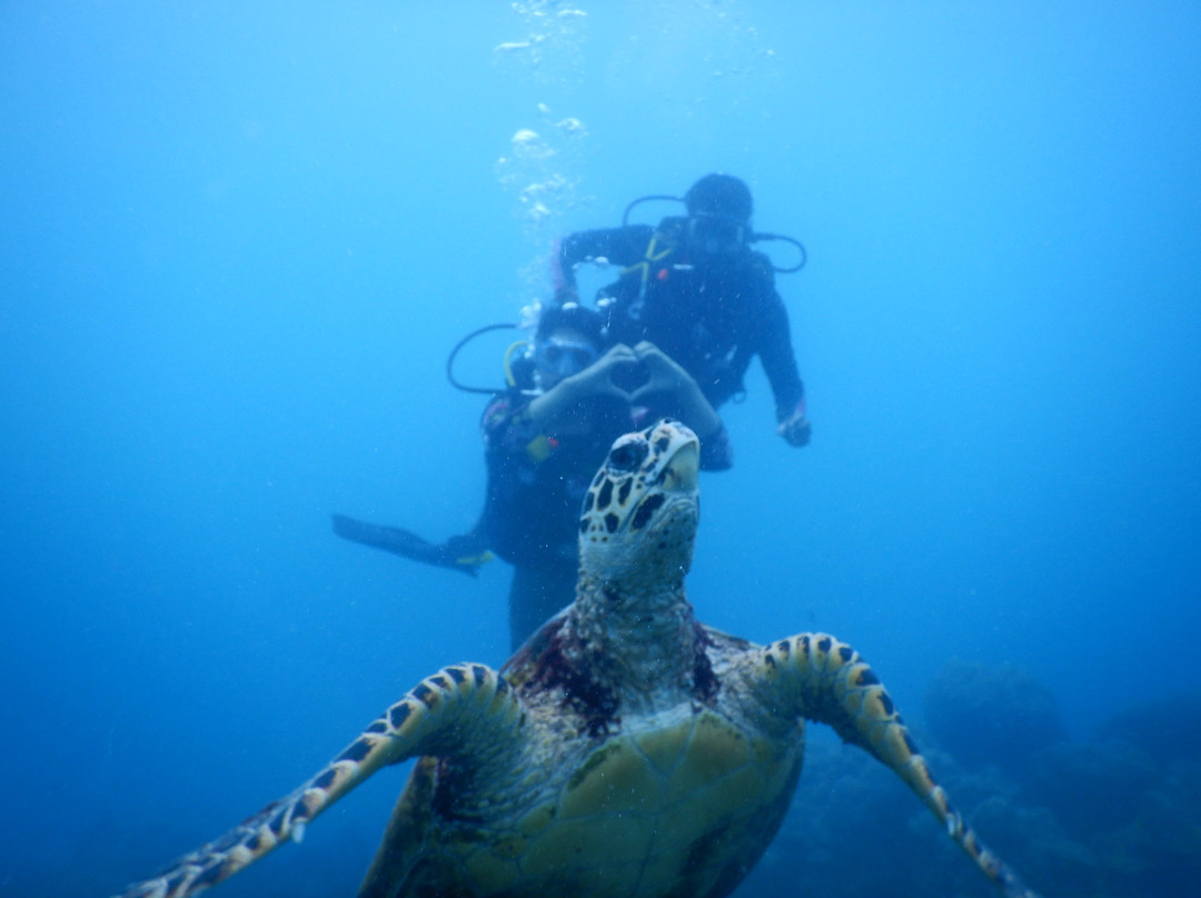 Scuba Adventures景点图片