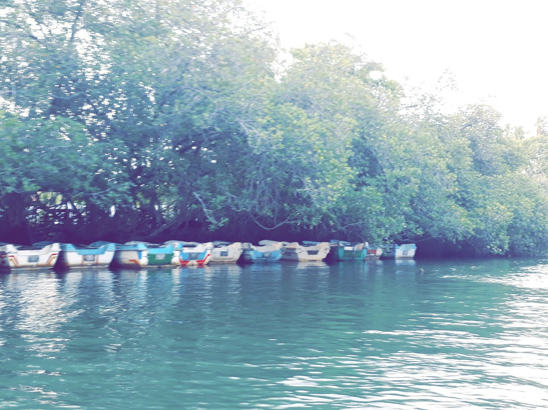 Nilwala River Safari-巴拉碧提雅必去景点