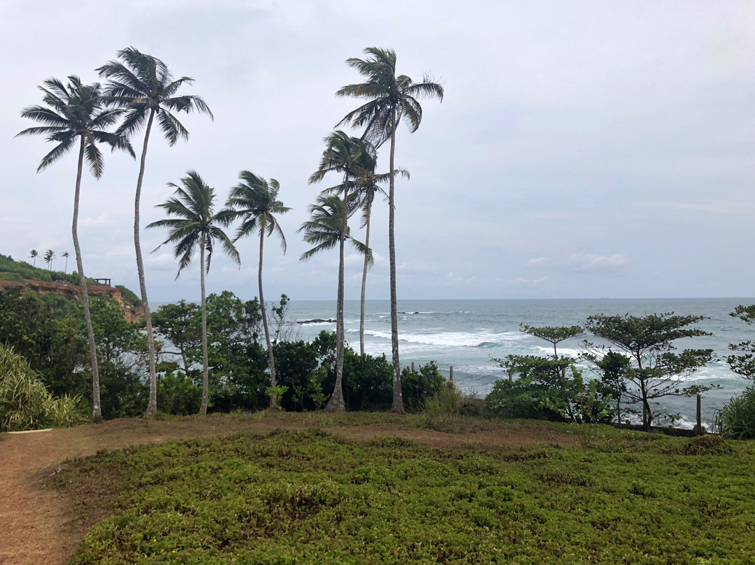 Barberyn Beach Ayurveda Resort主图