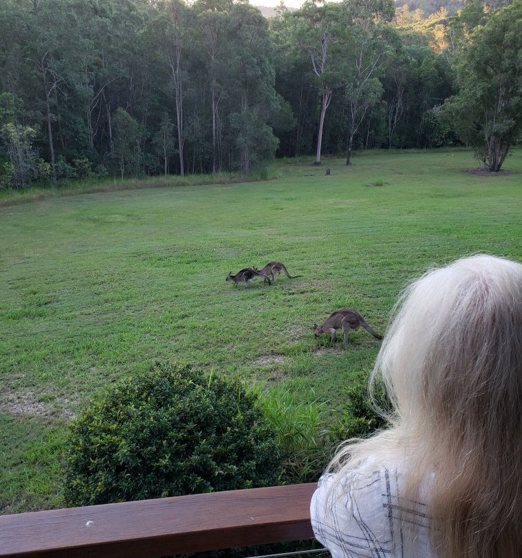 Melawondi Spring Retreat主图