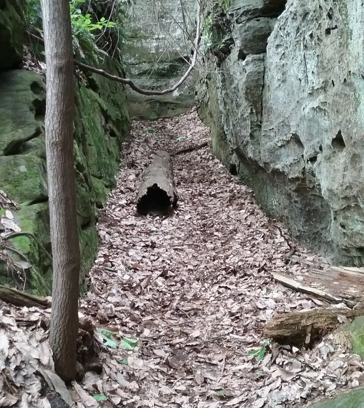 Rhododendron Cove State Nature Preserve-Sugar Grove必去景点