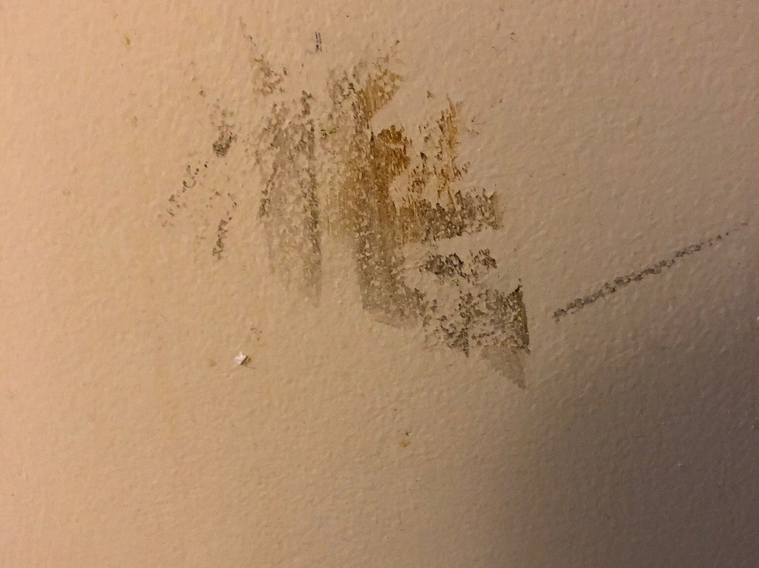 汤豪斯汽车旅馆主图