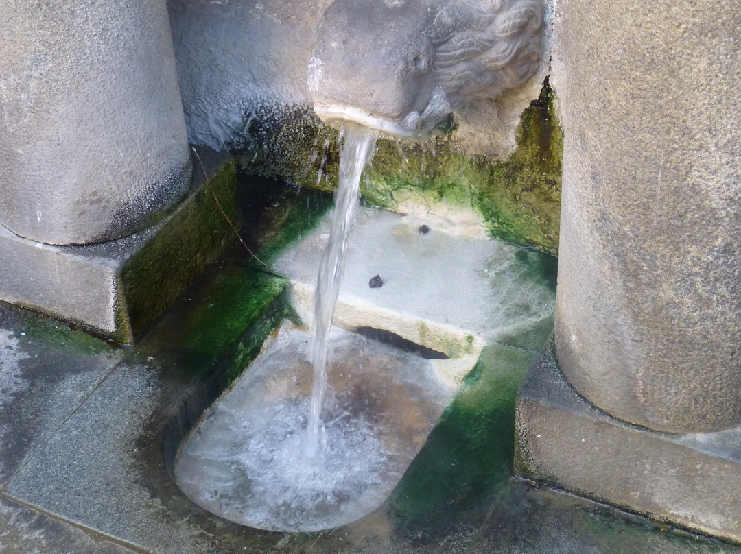 Fuente del Leon-Caldes de Montbui必去景点
