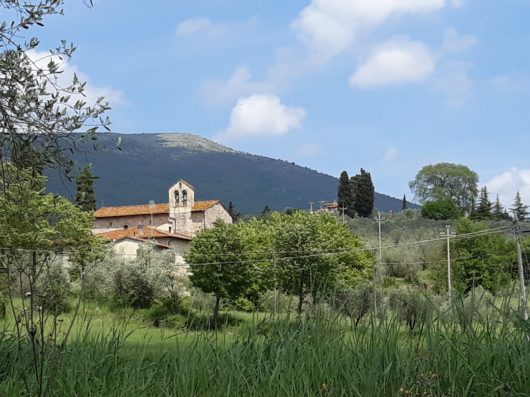 Chiesa Di Santa Maria a Travalle景点图片
