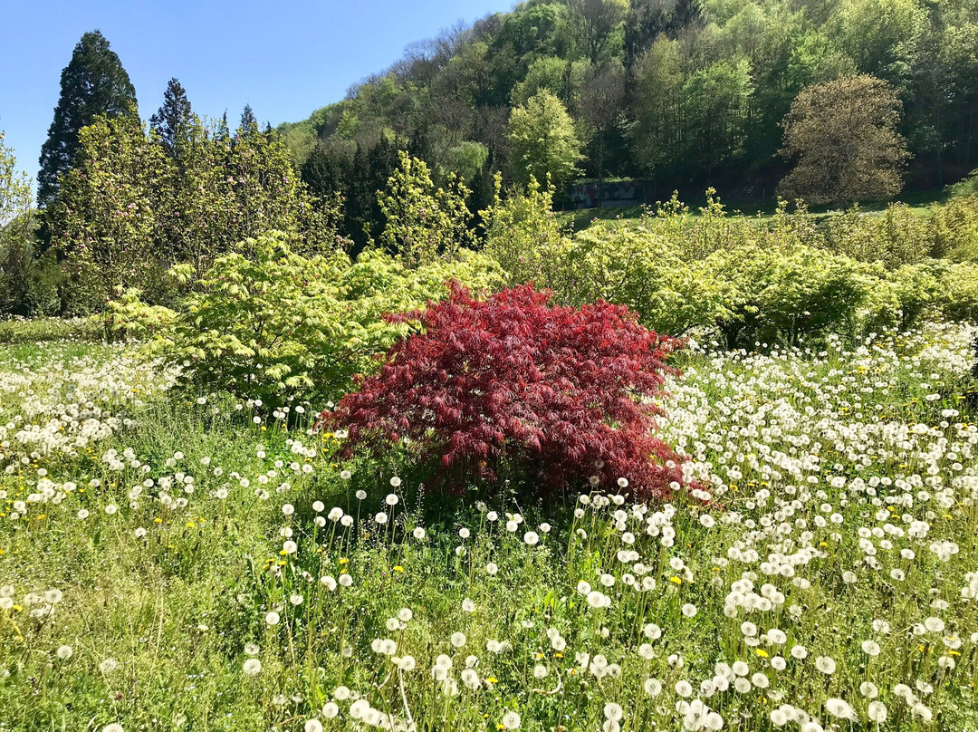 Biberweg-埃格利绍必去景点