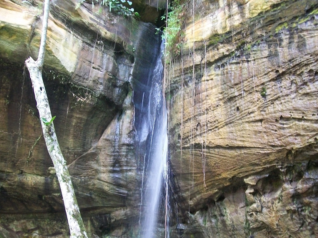 Urubu Waterfall景点图片