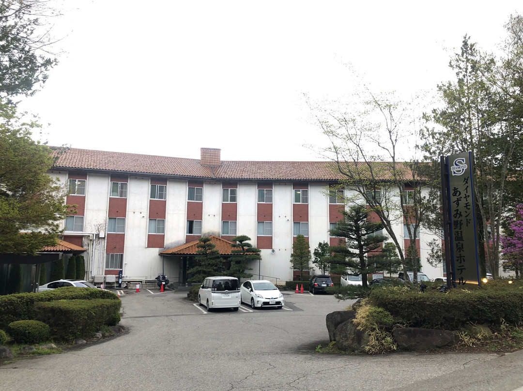 Diamond Azumino Onsen Hotel主图