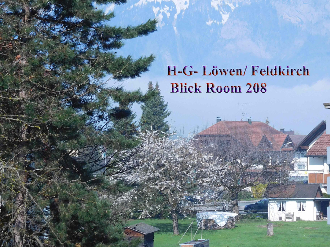 Hotel-Gasthof Loewen主图