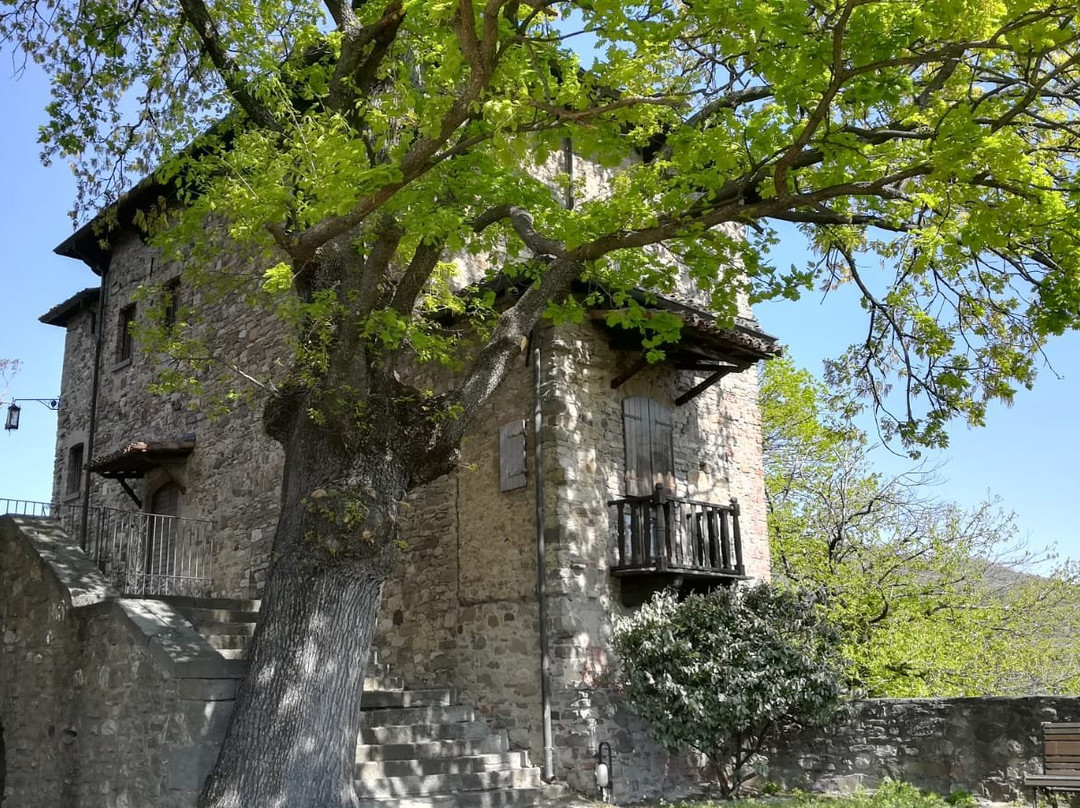Castello Malaspina dal Verme