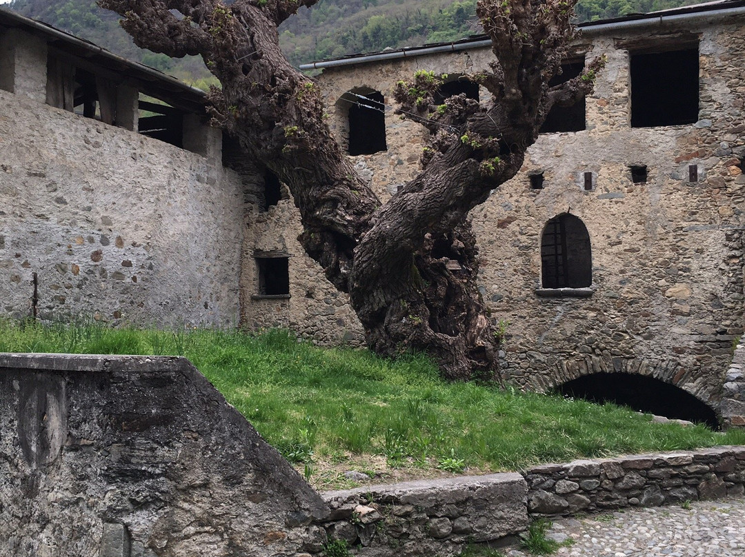 Ponte in Valtellina旅游攻略图片