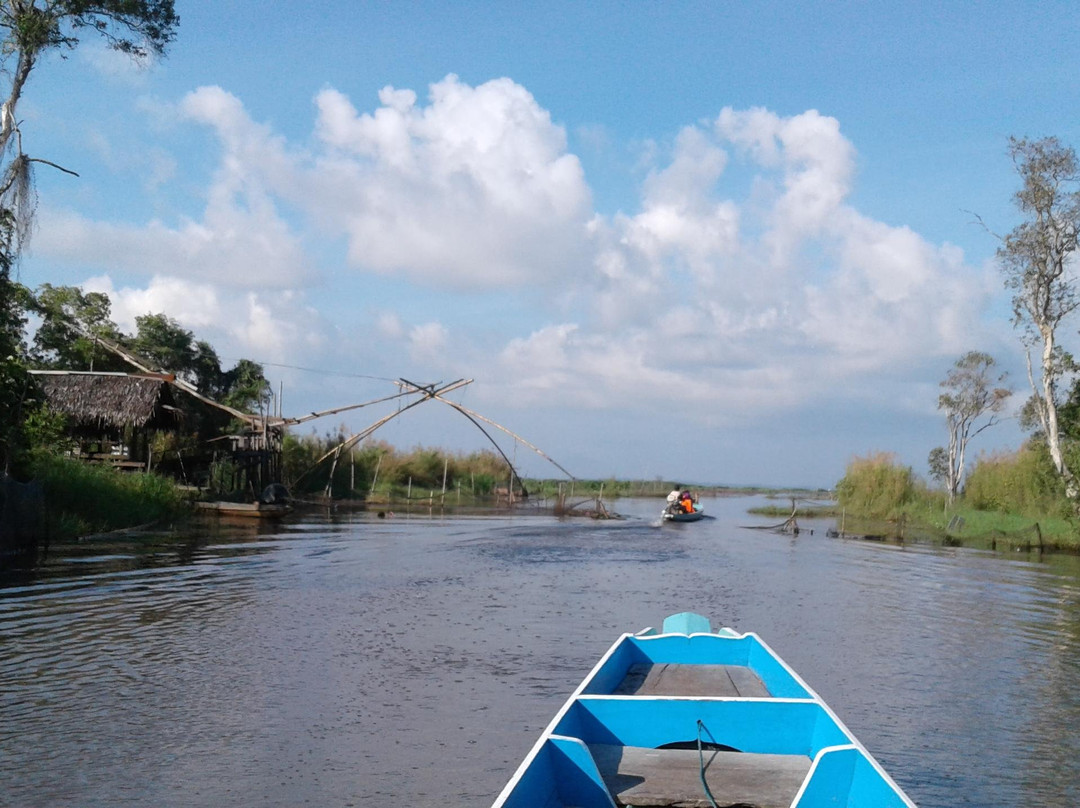 Nutty's Adventures-大城必去景点