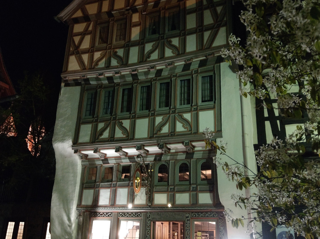Werner-Senger-Haus-林堡必去景点
