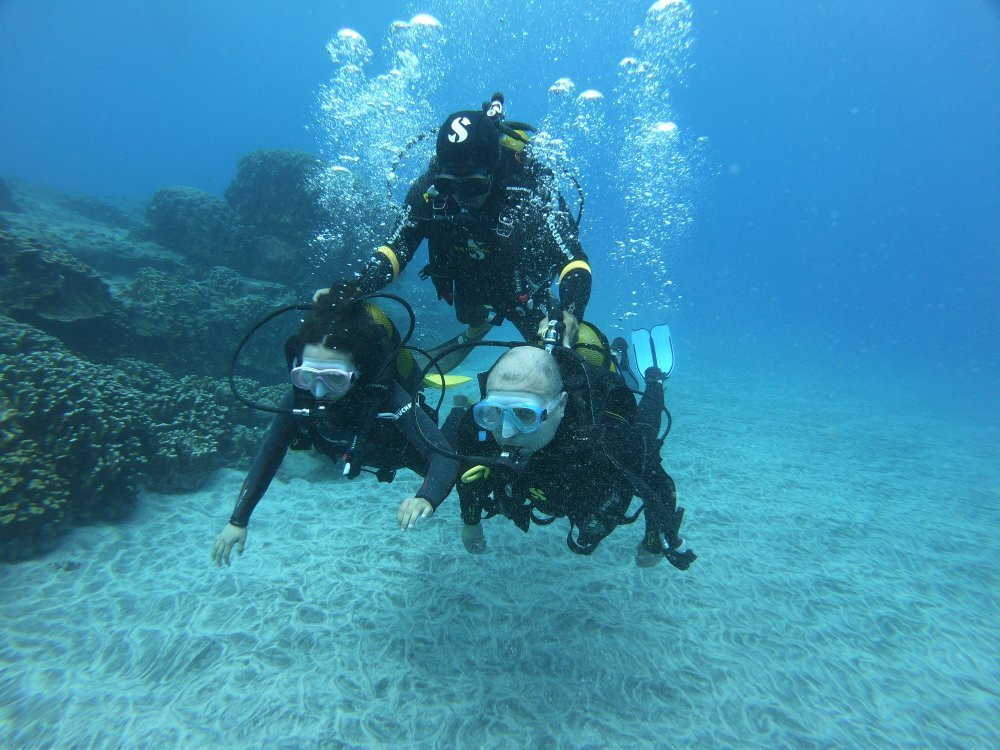 Rapa Nui Dive Center-安加罗阿必去景点