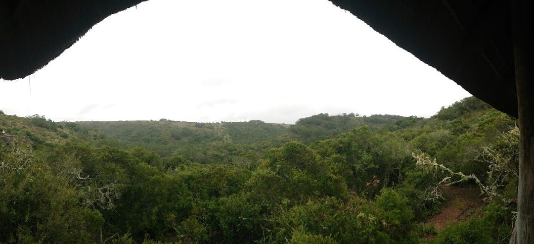 Lalibela Wildlife Reserve主图