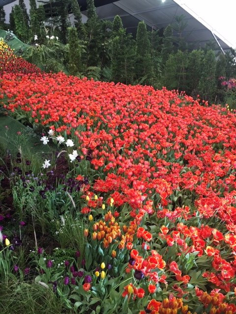 Princess Maha Chakri Sirindhorn Herb Garden-Map Kha必去景点