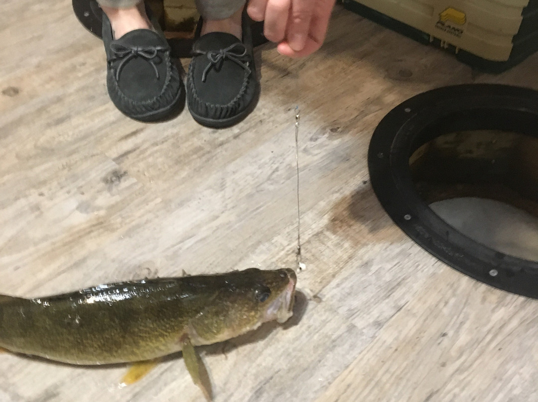 Cool Toyz-西尔万湖必去景点