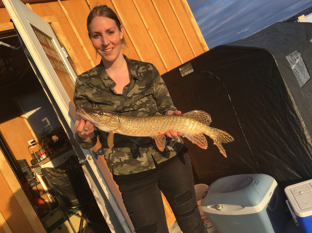 Cool Toyz-西尔万湖必去景点