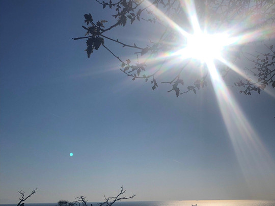 Terk-i Dunya Manastiri-Heybeliada必去景点