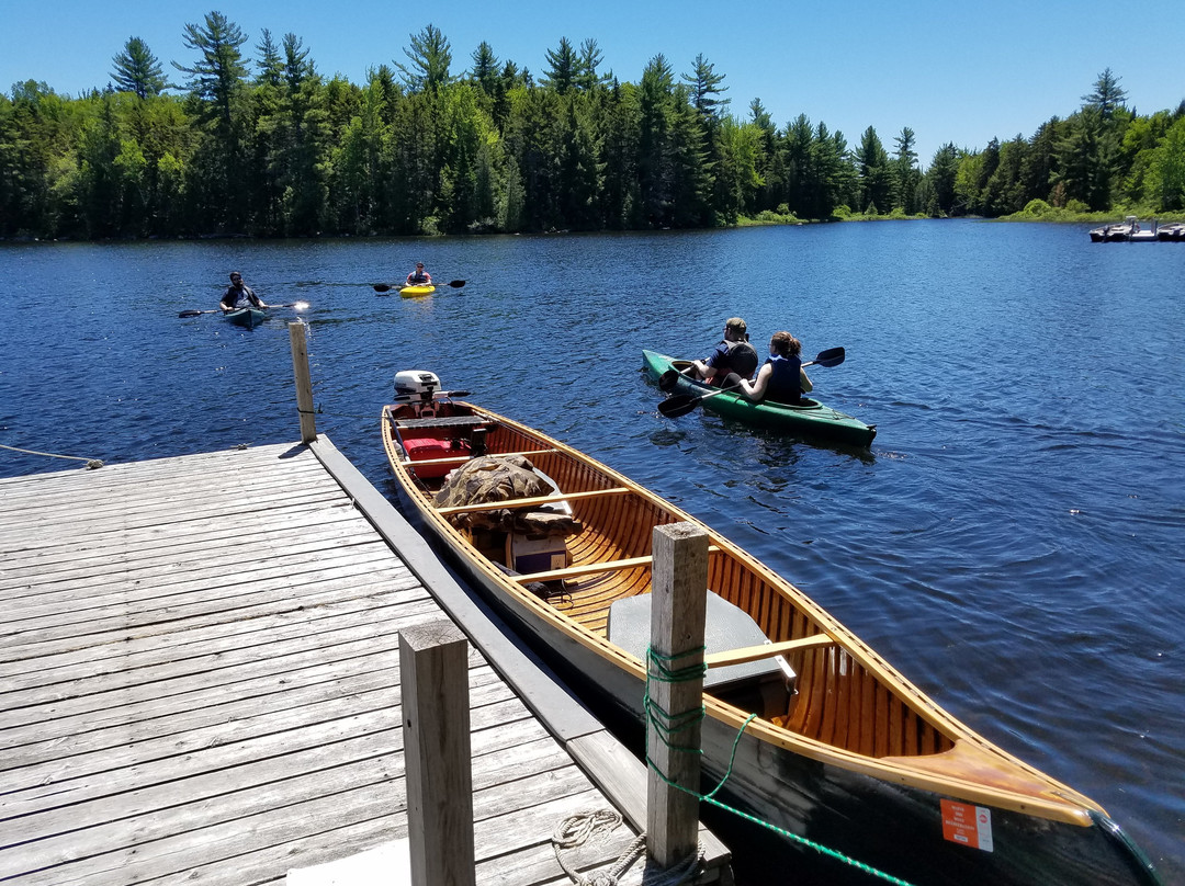 Wild Fox Cabins & Campground主图