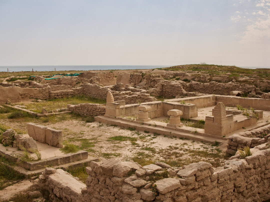 Failaka Island-Ahmadi必去景点